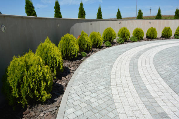 Best Concrete Paver Driveway  in Carrboro, NC